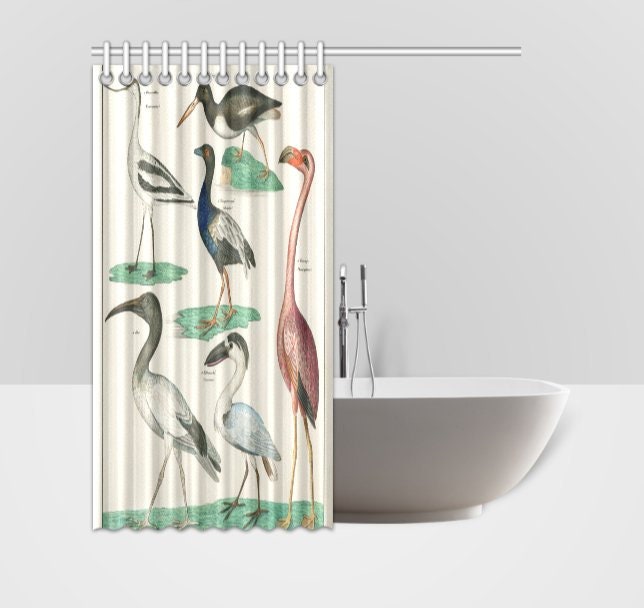 Zoology Birds Plate Animal Shower Curtain for Nature and Science Lovers
