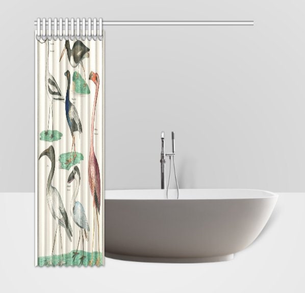 Zoology Birds Plate Animal Shower Curtain for Nature and Science Lovers