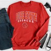 Boise State Broncos T-Shirt