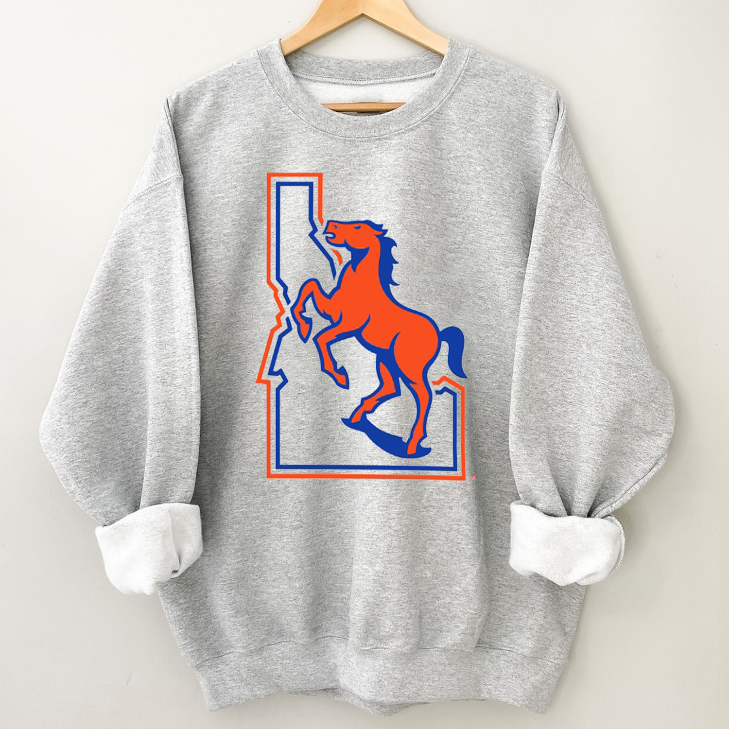 Boise State Broncos Vintage Logo T-Shirt