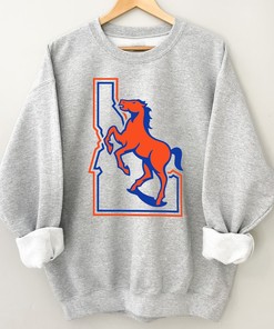 Boise State Broncos Vintage Logo T-Shirt
