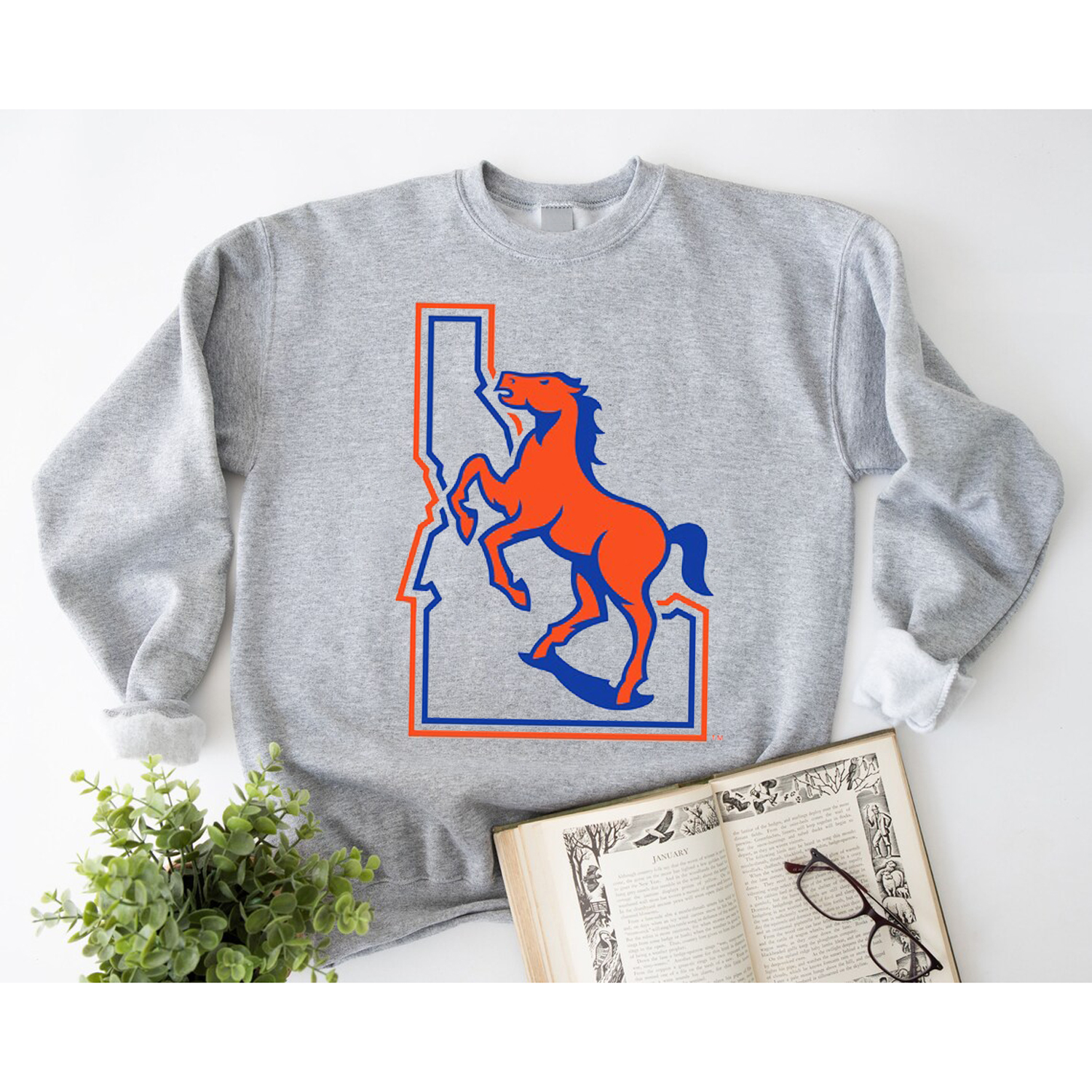 Boise State Broncos Vintage Logo T-Shirt