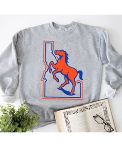 Boise State Broncos Vintage Logo T-Shirt
