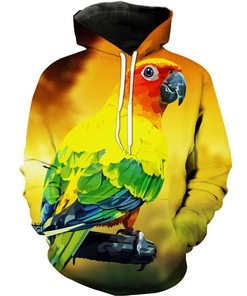 Colorful Parrot Animal All Over Print 3D Hoodie