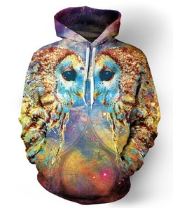 Master The Night With The Beautiful Owl Epic Animals 3D Hoodie