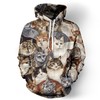 Multi Cat Animals All Over Print 3D Hoodie For Cat Lovers
