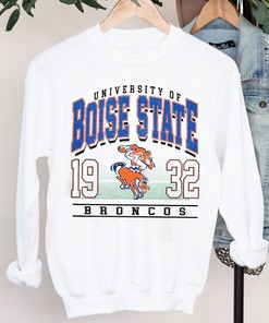 Retro 90's Boise Tshirt - Boise Mascot Tshirt, Vintage Style University Of Boise Shirts