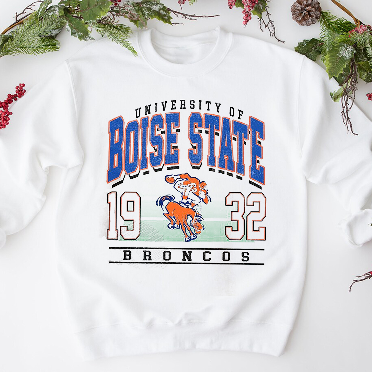 Retro 90's Boise Tshirt - Boise Mascot Tshirt, Vintage Style University Of Boise Shirts