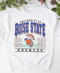 Retro 90's Boise Tshirt - Boise Mascot Tshirt, Vintage Style University Of Boise Shirts