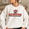 Vintage Auburn Tigers Iron Bowl 2001 Anders Book Store T Shirt - Orange Tigers Football T-Shirt Hoodie Fan Gift