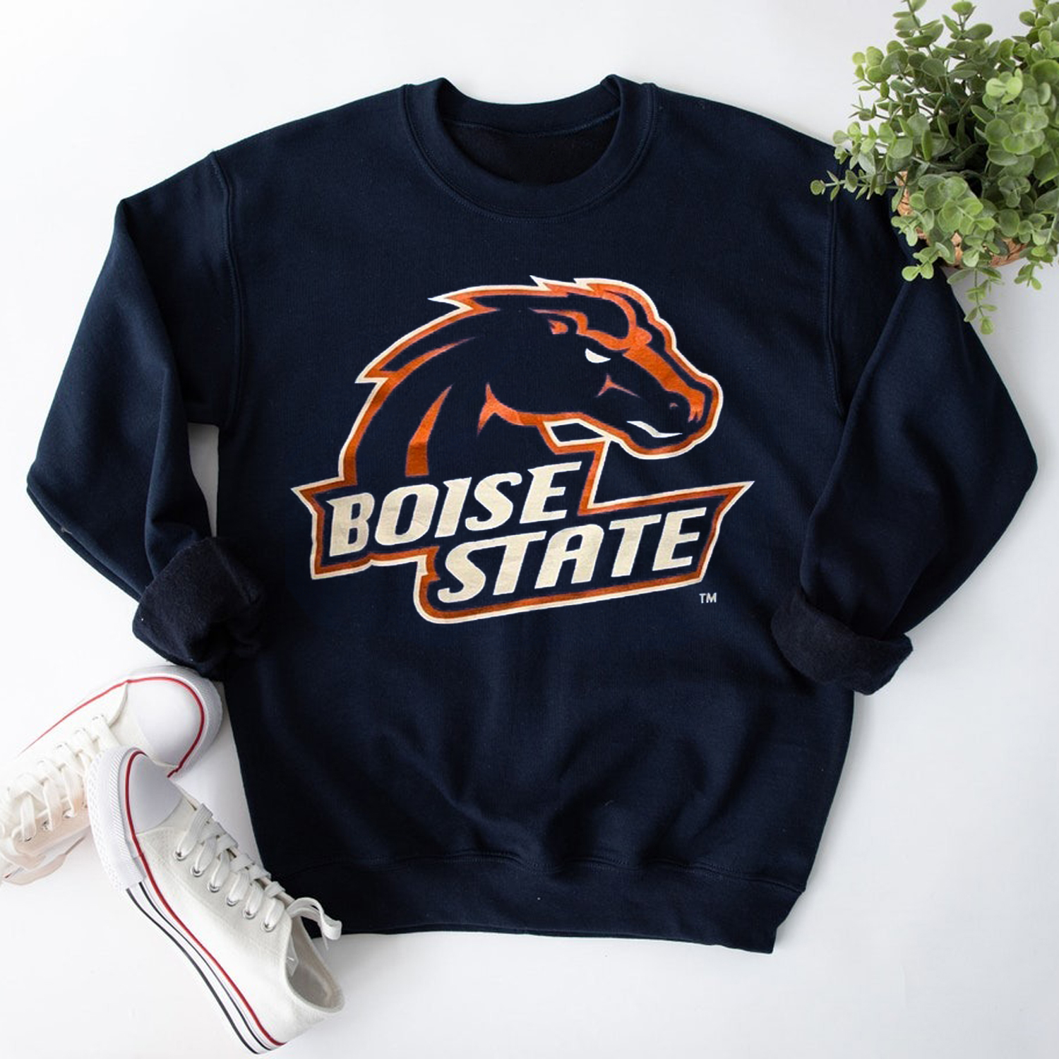 Vintage Boise State Broncos T-Shirt