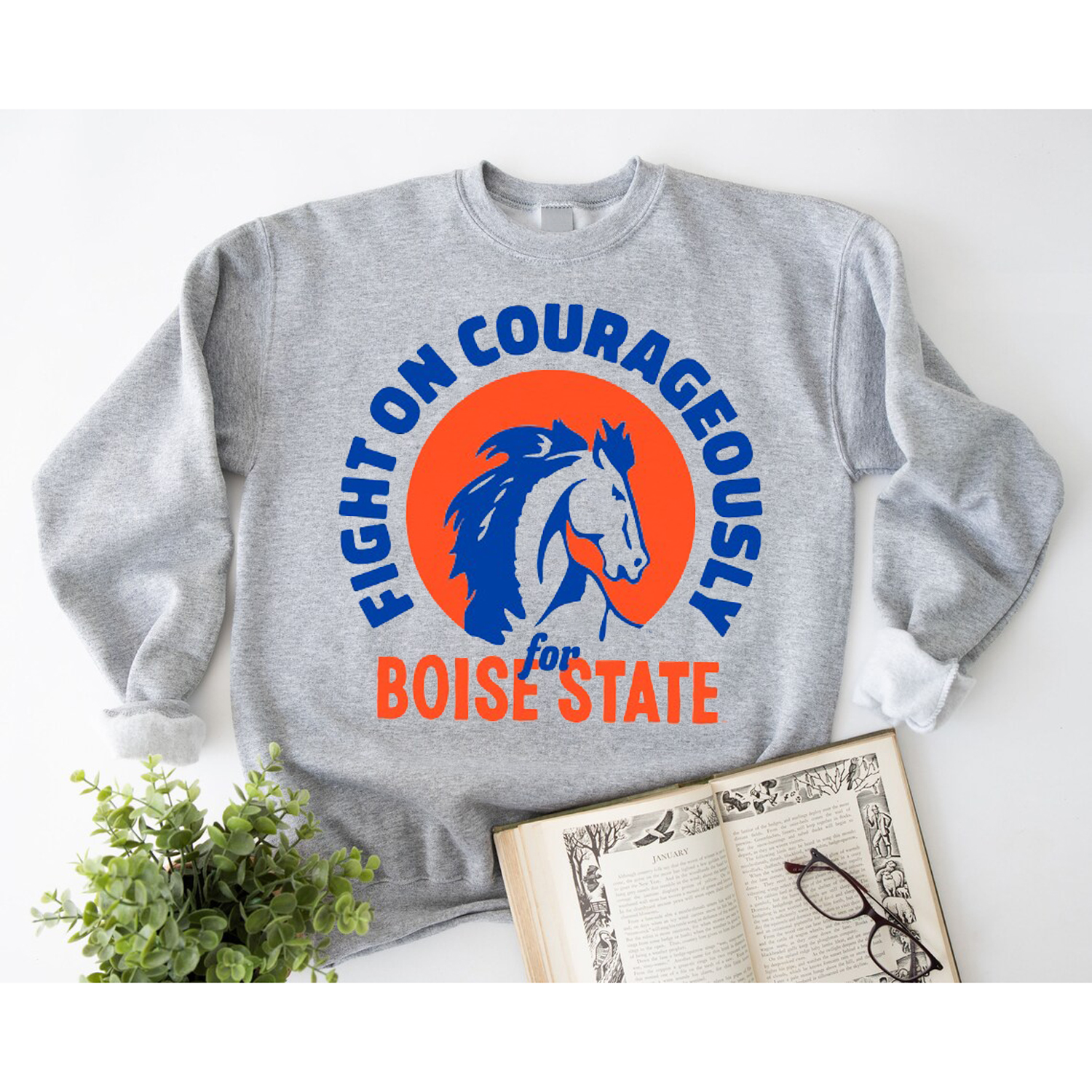 Vintage Boise State Fight Song Tee