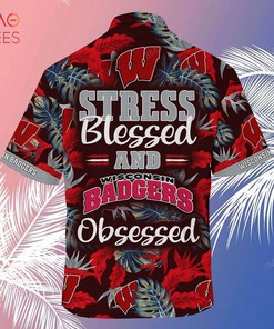 Get Stress Blessed Obsessed with Wisconsin Badgers Summer Hawaiian Shirt and Shorts.