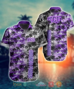 HOT NCAA TCU Horned Frogs Coconut Hawaiian Shirt and Shorts - Perfect for Summer
