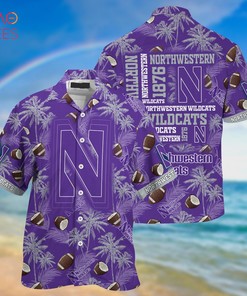 Northwestern Wildcats Hawaiian Shirt, New Gift For Summer 
