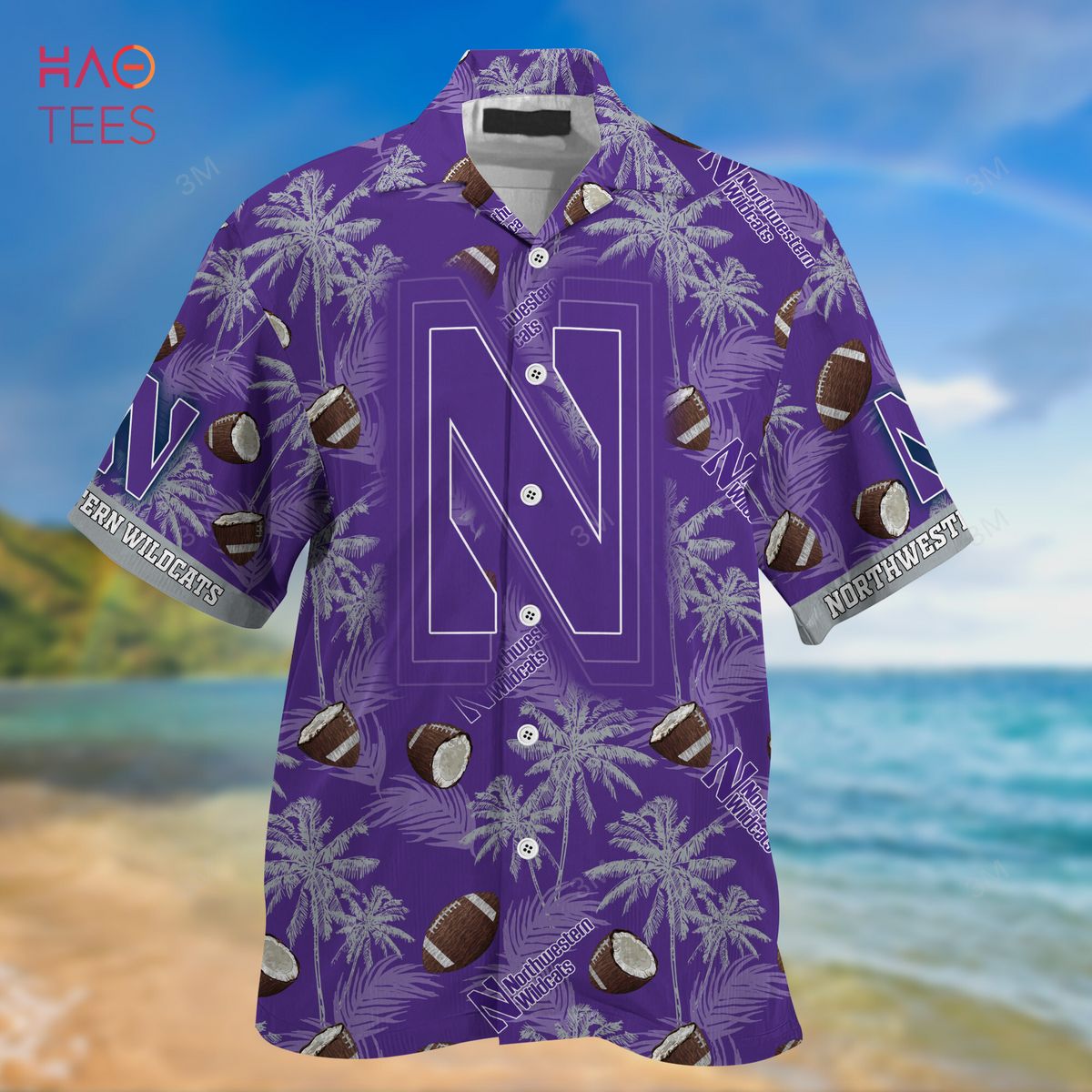 Northwestern Wildcats Hawaiian Shirt, New Gift For Summer