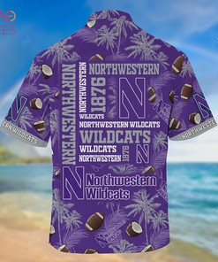 Northwestern Wildcats Hawaiian Shirt, New Gift For Summer