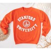 Stanford University Big Logo Sweatshirts - Vintage 80s Collection