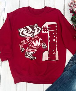 Vintage 1987 Bucky Badger Number One T-Shirt, Wisconsin Badgers Shirt