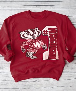 Vintage 1987 Bucky Badger Number One T-Shirt, Wisconsin Badgers Shirt