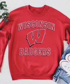 Vintage 1990's Pullover Sweatshirt of Wisconsin Badgers, Wisconsin Badgers Sweatshirt