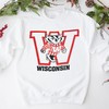 Vintage 80s Football T-Shirt of University of Wisconsin Badgers, Badgers Football Shirt