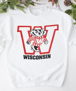 Vintage 80s Football T-Shirt of University of Wisconsin Badgers, Badgers Football Shirt