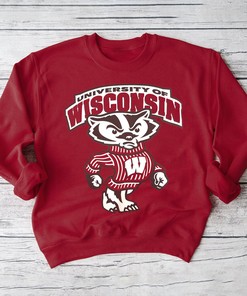 Vintage 90s T-Shirt of University Of Wisconsin Badgers, Wisconsin Badgers Shirt