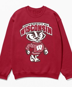 Vintage 90s T-Shirt of University Of Wisconsin Badgers, Wisconsin Badgers Shirt