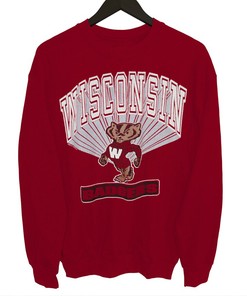 Vintage Big Logo Sweatshirt Pullover of Wisconsin Badgers, Wisconsin Badgers Sweatshirt