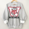 Vintage Bucky Badger T-Shirt in Wisconsin, Wisconsin Badgers Shirt