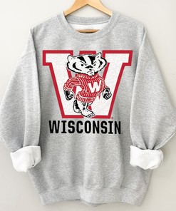 Vintage Bucky Badger T-Shirt in Wisconsin, Wisconsin Badgers Shirt