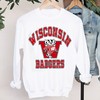 Wisconsin Badgers Shirt, Wisconsin Badgers Merchandise