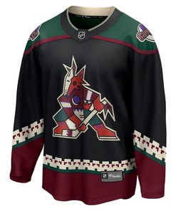 Arizona Coyotes #26 Arizona Coyotes 2023 NHL Draft Home Men Jersey - Robokeg