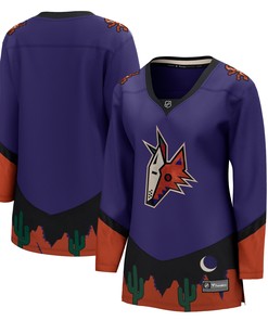 Arizona Coyotes Fanatics Branded Womens 2020/21 Special Edition Breakaway Jersey - Purple Nhl - Robokeg
