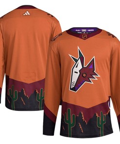 Arizona Coyotes Reverse Retro 2.0 Jersey - Burnt Orange - Robokeg