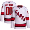 Carolina Hurricanes Adidas Away Primegreen Authentic Pro Custom Jersey White Custom Jerseys Nhl - Robokeg