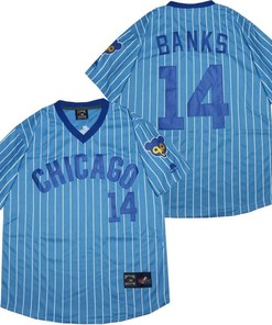 Chicago Cubs Ernie Banks #14 2020 Mlb Blue Jersey - Robokeg