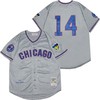 Chicago Cubs Ernie Banks #14 2020 Mlb Grey Jersey - Robokeg