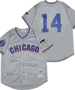 Chicago Cubs Ernie Banks #14 2020 Mlb Grey Jersey - Robokeg
