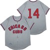 Chicago Cubs Ernie Banks 2020 Mlb Grey Jersey - Robokeg