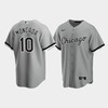 Chicago White Sox Yoan Moncada 10 Men's Gray Alternate Jersey - Robokeg