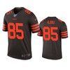 Cleveland Browns David Njoku Brown 100th Season Color Rush Legend Jersey - Robokeg