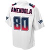 Danny Amendola New England Patriots Nfl Pro Line By Fanatics Branded Fade Fashion Jersey - White - Robokeg