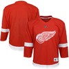Detroit Red Wings Home Replica Blank Jersey - Red Nhl - Robokeg