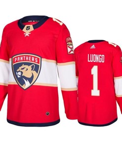 Florida Panthers Roberto Luongo 1 Home Red Jersey Jersey - Robokeg
