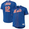 Francisco Lindor New York Mets Big & Tall Replica Player Jersey - Royal Mlb - Robokeg