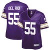 Jack Del Rio Minnesota Vikings Nfl Pro Line Womens Retired Player Jersey - Purple Nfl - Robokeg