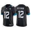 Jacksonville Jaguars 25th Anniversary Dede Westbrook Black Vapor Limited Jersey - Robokeg