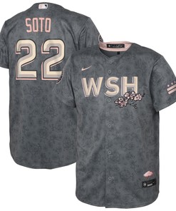 Juan Soto Washington Nationals Toddler 2022 City Connect Replica Player Jersey - Gray Mlb - Robokeg